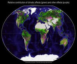 A look at the world explains 90 percent of changes in vegetation