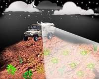 Glowing bacteria detect buried landmines