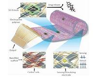 Cyborg cardiac patch may treat the diseased heart