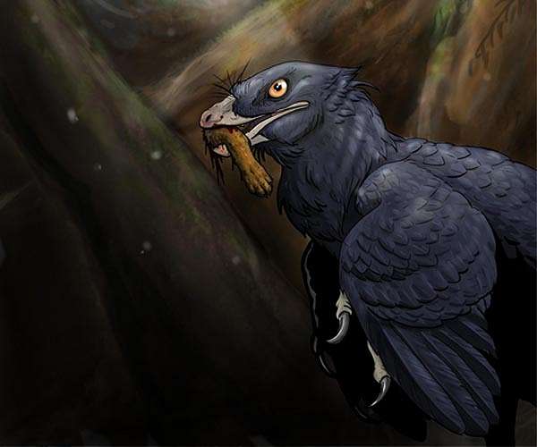 Fossil offers ultra rare piece of evidence showing a dinosaur eating a mammal