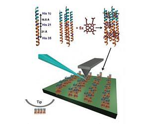 Researchers Develop Biological Circuit Components