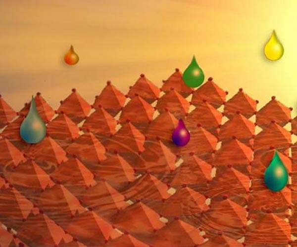 A general approach to high-efficiency perovskite solar cells