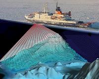 Megascale icebergs run aground