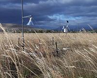 Indirect effects of rising CO2 levels on ecosystems more important than previously thought