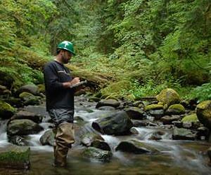 Study explores long-term water quality trends in near-pristine streams