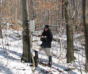 Maple syrup, moose, and the local impacts of climate change