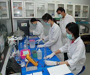 Exposing ZnO nanorods to visible light removes microbes