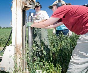 Marginal Lands Are Prime Fuel Source for Alternative Energy