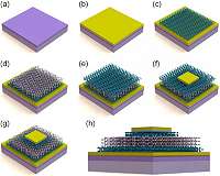Model for 2-D materials based RRAM found