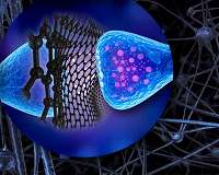Like submicroscopic spacecrafts: graphene flakes to control neuron activity