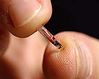 Radio nodes may succeed RFID tags