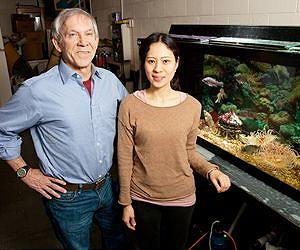 Attack or retreat? Circuit links hunger and pursuit in sea slug brain