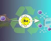 Nagoya University chemists turn metal catalysis on its head for a sustainable future