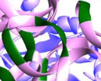 Evolution of life driven by the selfish ribosome