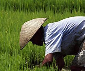 Young Indonesians paint the town green