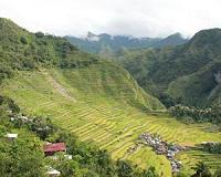 Philippine farmers risk death to save crops from killer typhoon
