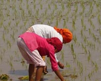Rural communities lead Nepal's green fightback