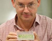 Genetic discovery to keep crops disease-free