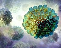 Damming and damning hemorrhagic diseases