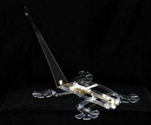 Falling lizards use tail for mid-air twist, inspiring lizard-like 'RightingBot'