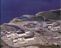 Most Swedes want nuclear power