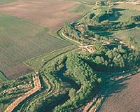 Wider Buffers Are Better When Protecting Wetlands From Nitrogen Pollution