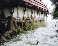 Sea levels to surge 'at least a metre' by century end