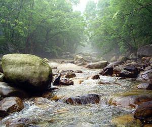 Study finds stream temperatures don't parallel warming climate trend