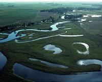 Wetland enhancement in Midwest could help reduce catastrophic floods of the future