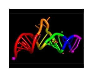 A New Way To Attack Pathogens