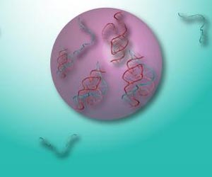 Early-Earth cells modeled to show how first life forms might have packaged RNA