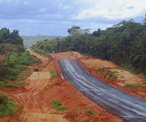 Study of Brazilian Amazon shows 50,000 km of road was built in just three years