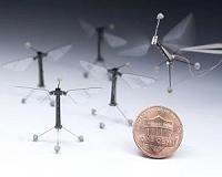 Dive of the RoboBee