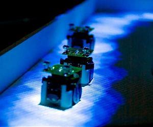 Robot ants successfully mimic real colony behavior