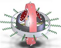 U.S., Chinese scientists build nanorobot