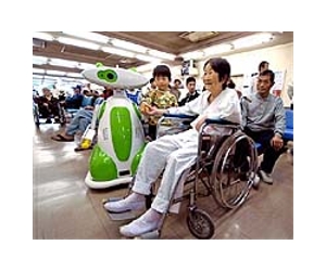 Tsunami takes grim toll on Japan's elderly
