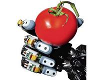 Embedded optical sensors could make robotic hands more dexterous