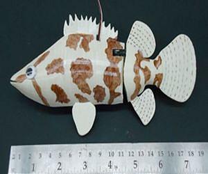 Robots Strike Fear in the Hearts of Fish