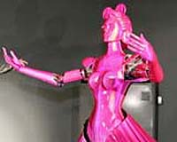 Japan looks at everyday use of robots