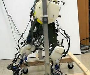 Most accurate robotic legs mimic human walking gait