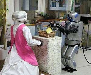 US scientists launch personalized robot project