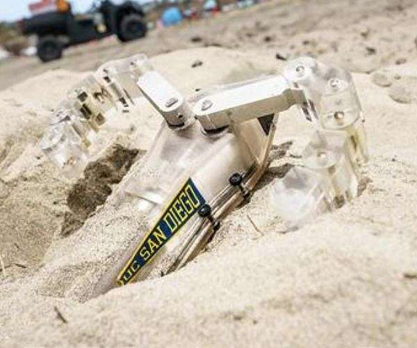 Bot inspired by baby turtles can swim under the sand