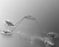 Bio-inspired robots jump on water