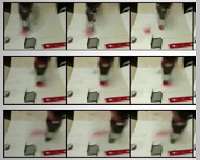 Robots foresee future with automated visualized predictions