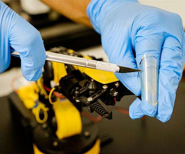 NTU Singapore scientists develop 'mini-brains' to help robots recognize pain and to self-repair