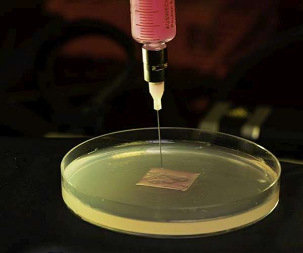 Researchers develop novel 3D printing technique to engineer biofilms