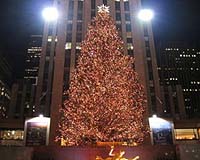 New York's Special Event Lighting Company Launches Renewable Energy Initiative