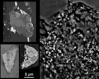 Comet Wild 2: A window into the birth of the solar system