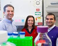 New device could make large biological circuits practical