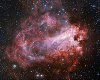 A cosmic rose with many names